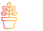Indoor Environmental